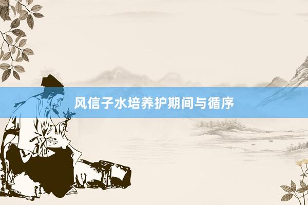 风信子水培养护期间与循序